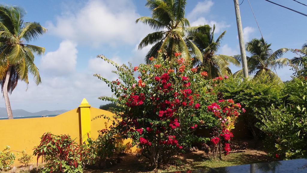 Maison Belle Baie Baie Sainte Anne エクステリア 写真