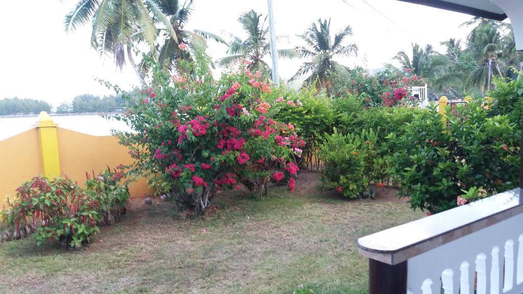 Maison Belle Baie Baie Sainte Anne エクステリア 写真